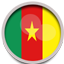 ExFreight Cameroon Flag