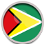 ExFreight Guyana Flag