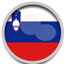 ExFreight Slovenia Flag